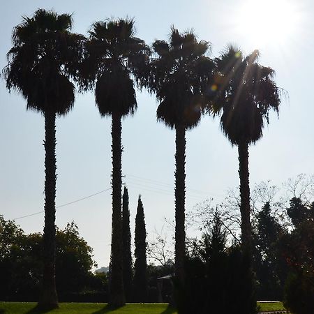 Villa Montanari Rosati Porto San Giorgio Buitenkant foto