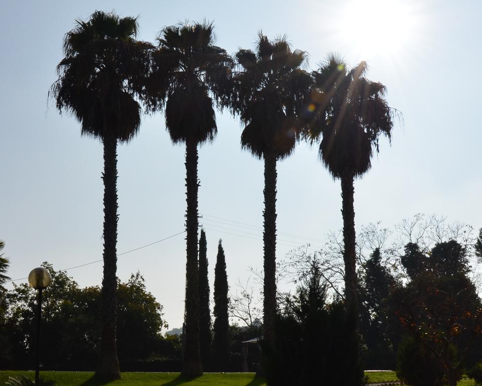 Villa Montanari Rosati Porto San Giorgio Buitenkant foto